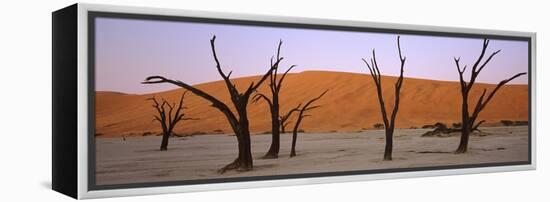 Dead Trees in a Desert at Sunrise, Dead Vlei, Sossusvlei, Namib-Naukluft National Park, Namibia-null-Framed Premier Image Canvas