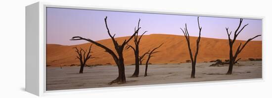 Dead Trees in a Desert at Sunrise, Dead Vlei, Sossusvlei, Namib-Naukluft National Park, Namibia-null-Framed Premier Image Canvas