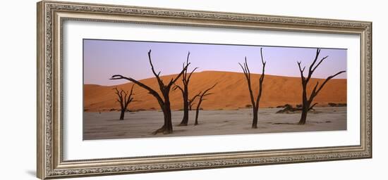 Dead Trees in a Desert at Sunrise, Dead Vlei, Sossusvlei, Namib-Naukluft National Park, Namibia-null-Framed Photographic Print