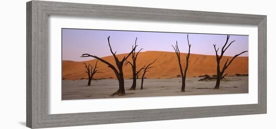 Dead Trees in a Desert at Sunrise, Dead Vlei, Sossusvlei, Namib-Naukluft National Park, Namibia-null-Framed Photographic Print