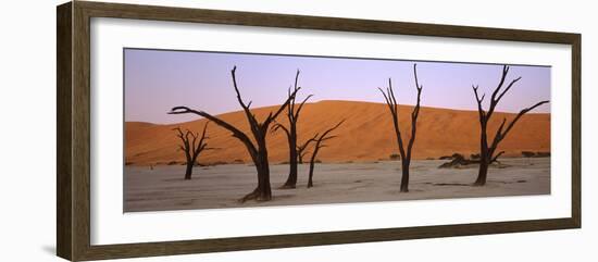 Dead Trees in a Desert at Sunrise, Dead Vlei, Sossusvlei, Namib-Naukluft National Park, Namibia-null-Framed Photographic Print