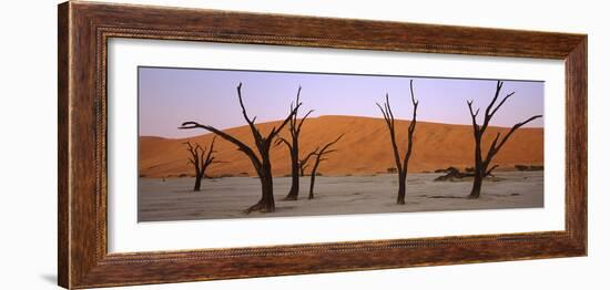 Dead Trees in a Desert at Sunrise, Dead Vlei, Sossusvlei, Namib-Naukluft National Park, Namibia-null-Framed Photographic Print