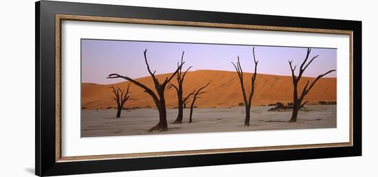 Dead Trees in a Desert at Sunrise, Dead Vlei, Sossusvlei, Namib-Naukluft National Park, Namibia-null-Framed Photographic Print