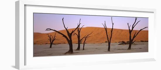 Dead Trees in a Desert at Sunrise, Dead Vlei, Sossusvlei, Namib-Naukluft National Park, Namibia-null-Framed Photographic Print