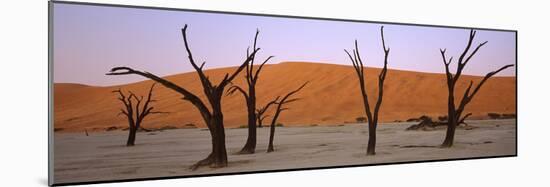 Dead Trees in a Desert at Sunrise, Dead Vlei, Sossusvlei, Namib-Naukluft National Park, Namibia-null-Mounted Photographic Print