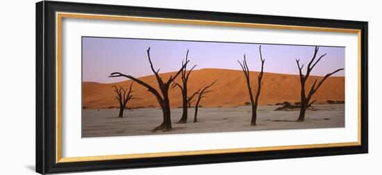 Dead Trees in a Desert at Sunrise, Dead Vlei, Sossusvlei, Namib-Naukluft National Park, Namibia-null-Framed Photographic Print