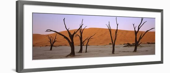 Dead Trees in a Desert at Sunrise, Dead Vlei, Sossusvlei, Namib-Naukluft National Park, Namibia-null-Framed Photographic Print