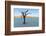 Dead trees in a desert, Dead Vlei, Sossusvlei, Namib Desert, Namib-Naukluft National Park, Namibia-null-Framed Photographic Print