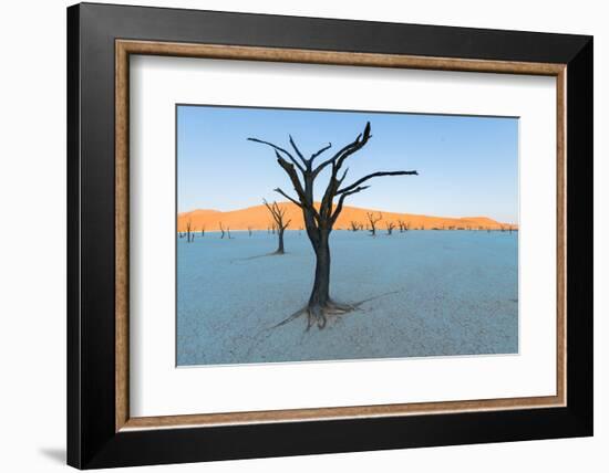 Dead trees in a desert, Dead Vlei, Sossusvlei, Namib Desert, Namib-Naukluft National Park, Namibia-null-Framed Photographic Print