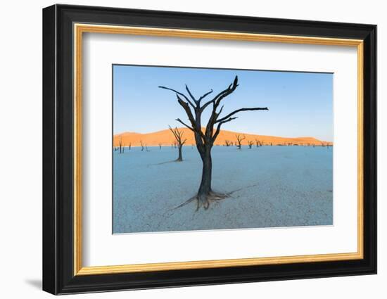 Dead trees in a desert, Dead Vlei, Sossusvlei, Namib Desert, Namib-Naukluft National Park, Namibia-null-Framed Photographic Print