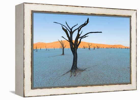 Dead trees in a desert, Dead Vlei, Sossusvlei, Namib Desert, Namib-Naukluft National Park, Namibia-null-Framed Premier Image Canvas