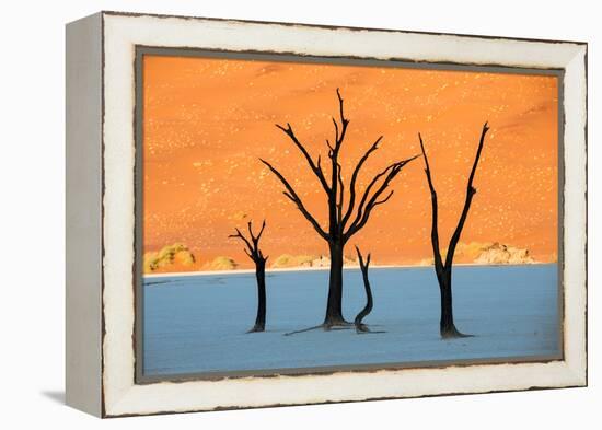 Dead trees in a desert, Dead Vlei, Sossusvlei, Namib Desert, Namib-Naukluft National Park, Namibia-null-Framed Premier Image Canvas