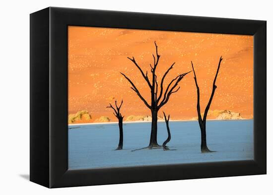 Dead trees in a desert, Dead Vlei, Sossusvlei, Namib Desert, Namib-Naukluft National Park, Namibia-null-Framed Premier Image Canvas