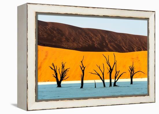 Dead trees in a desert, Dead Vlei, Sossusvlei, Namib Desert, Namib-Naukluft National Park, Namibia-null-Framed Premier Image Canvas