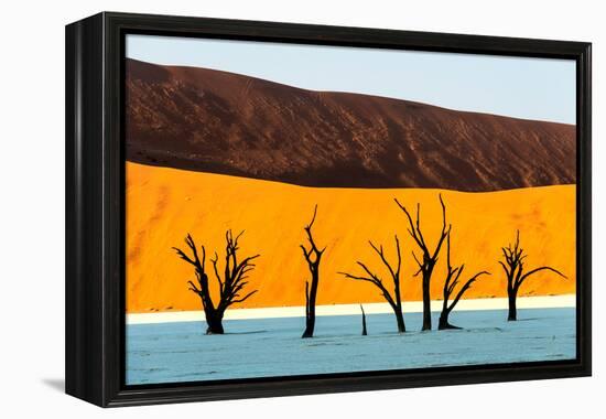 Dead trees in a desert, Dead Vlei, Sossusvlei, Namib Desert, Namib-Naukluft National Park, Namibia-null-Framed Premier Image Canvas