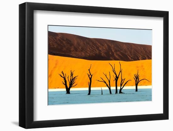 Dead trees in a desert, Dead Vlei, Sossusvlei, Namib Desert, Namib-Naukluft National Park, Namibia-null-Framed Photographic Print