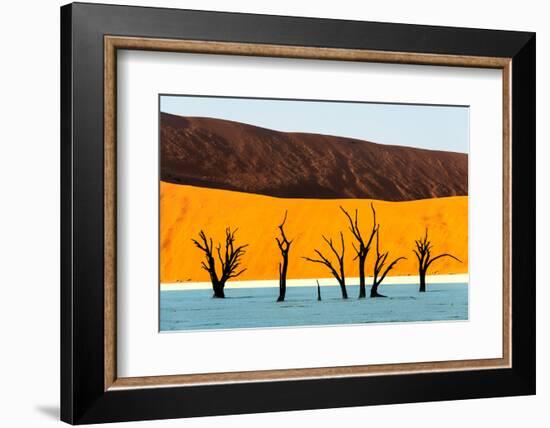 Dead trees in a desert, Dead Vlei, Sossusvlei, Namib Desert, Namib-Naukluft National Park, Namibia-null-Framed Photographic Print