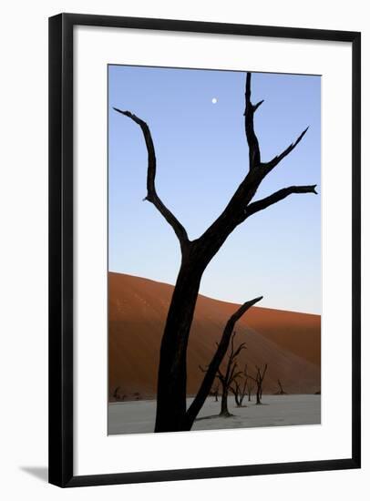Dead Trees In Deadvlei Clay Pan, Sossusvlei. Namib-Naukluft National Park, Namibia, September 2013-Enrique Lopez-Tapia-Framed Photographic Print