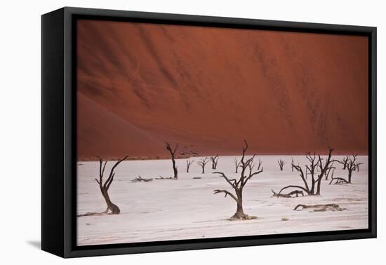 Dead Trees In Deadvlei Pan Located Near Sossusvlei, Nambia-Karine Aigner-Framed Premier Image Canvas