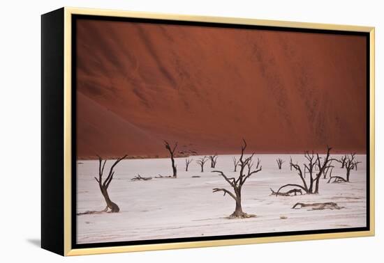 Dead Trees In Deadvlei Pan Located Near Sossusvlei, Nambia-Karine Aigner-Framed Premier Image Canvas