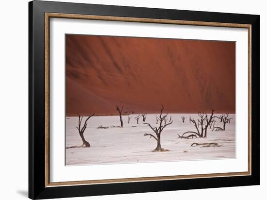 Dead Trees In Deadvlei Pan Located Near Sossusvlei, Nambia-Karine Aigner-Framed Photographic Print