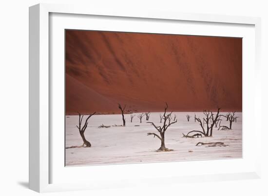 Dead Trees In Deadvlei Pan Located Near Sossusvlei, Nambia-Karine Aigner-Framed Photographic Print