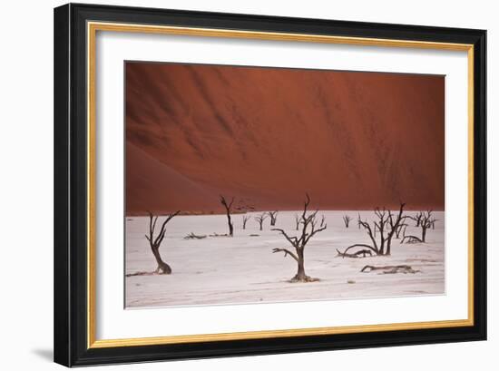 Dead Trees In Deadvlei Pan Located Near Sossusvlei, Nambia-Karine Aigner-Framed Photographic Print