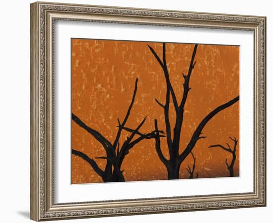 Dead Trees in Dry Clay Pan, Dead Vlei, Soussusvlei, Namibia, Africa-Peter Adams-Framed Photographic Print