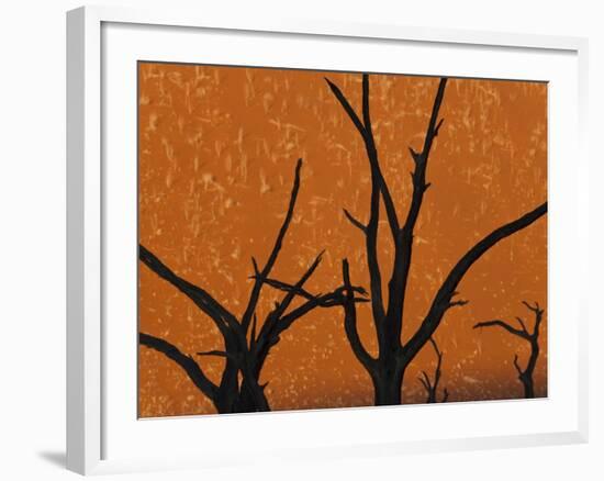 Dead Trees in Dry Clay Pan, Dead Vlei, Soussusvlei, Namibia, Africa-Peter Adams-Framed Photographic Print