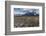 Dead Trees in Front of Cuernos Del Paine, Torres Del Paine National Park, Chilean Patagonia, Chile-G & M Therin-Weise-Framed Photographic Print