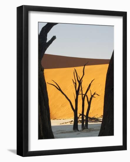 Dead Trees Silhouetted Against Sand Dune at Dead Vlei, Sossusvlei, Namibia, Africa-Wendy Kaveney-Framed Photographic Print