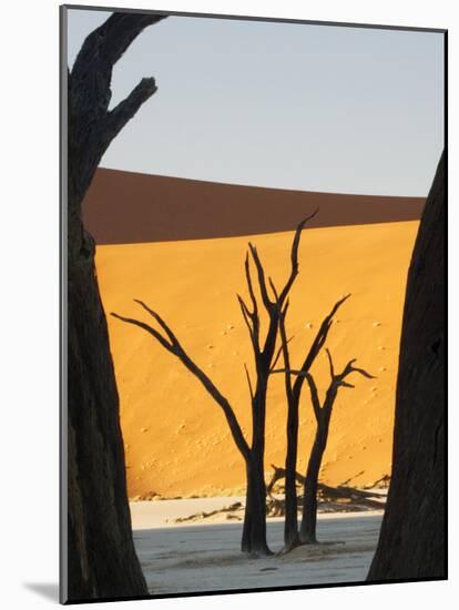 Dead Trees Silhouetted Against Sand Dune at Dead Vlei, Sossusvlei, Namibia, Africa-Wendy Kaveney-Mounted Photographic Print