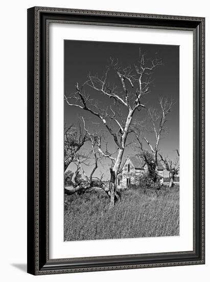 Dead Trees-Rip Smith-Framed Photographic Print