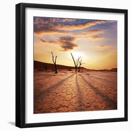 Dead Valley in Namibia-Andrushko Galyna-Framed Photographic Print