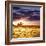 Dead Valley in Namibia-Andrushko Galyna-Framed Photographic Print