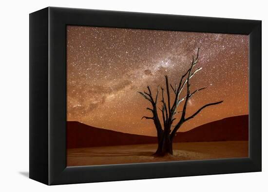 Dead Vlei, Dusk, the Namib-Naukluft National Park of Namibia-Felix Lipov-Framed Premier Image Canvas