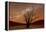 Dead Vlei, Dusk, the Namib-Naukluft National Park of Namibia-Felix Lipov-Framed Premier Image Canvas