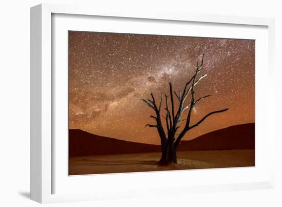 Dead Vlei, Dusk, the Namib-Naukluft National Park of Namibia-Felix Lipov-Framed Photographic Print