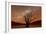 Dead Vlei, Dusk, the Namib-Naukluft National Park of Namibia-Felix Lipov-Framed Photographic Print