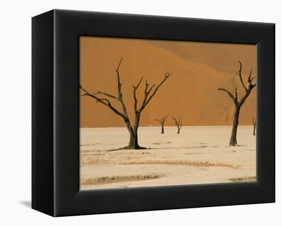 Dead Vlei, Sossusvlei Dune Field, Namib-Naukluft Park, Namib Desert, Namibia, Africa-Steve & Ann Toon-Framed Premier Image Canvas