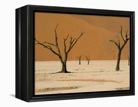 Dead Vlei, Sossusvlei Dune Field, Namib-Naukluft Park, Namib Desert, Namibia, Africa-Steve & Ann Toon-Framed Premier Image Canvas