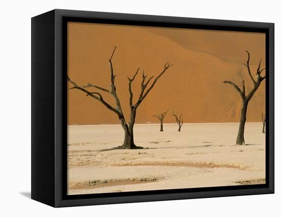 Dead Vlei, Sossusvlei Dune Field, Namib-Naukluft Park, Namib Desert, Namibia, Africa-Steve & Ann Toon-Framed Premier Image Canvas