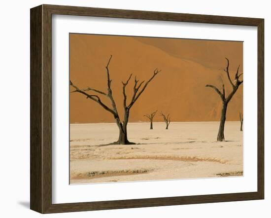 Dead Vlei, Sossusvlei Dune Field, Namib-Naukluft Park, Namib Desert, Namibia, Africa-Steve & Ann Toon-Framed Photographic Print