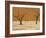 Dead Vlei, Sossusvlei Dune Field, Namib-Naukluft Park, Namib Desert, Namibia, Africa-Steve & Ann Toon-Framed Photographic Print