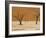 Dead Vlei, Sossusvlei Dune Field, Namib-Naukluft Park, Namib Desert, Namibia, Africa-Steve & Ann Toon-Framed Photographic Print