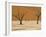 Dead Vlei, Sossusvlei Dune Field, Namib-Naukluft Park, Namib Desert, Namibia, Africa-Steve & Ann Toon-Framed Photographic Print