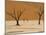 Dead Vlei, Sossusvlei Dune Field, Namib-Naukluft Park, Namib Desert, Namibia, Africa-Steve & Ann Toon-Mounted Photographic Print