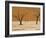 Dead Vlei, Sossusvlei Dune Field, Namib-Naukluft Park, Namib Desert, Namibia, Africa-Steve & Ann Toon-Framed Photographic Print