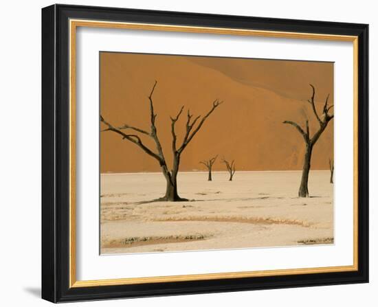 Dead Vlei, Sossusvlei Dune Field, Namib-Naukluft Park, Namib Desert, Namibia, Africa-Steve & Ann Toon-Framed Photographic Print