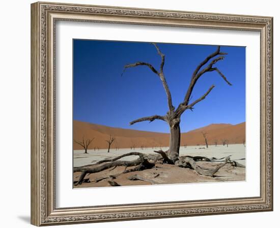 Dead Vlei, Sossusvlei Dune Field, Namib-Naukluft Park, Namib Desert, Namibia, Africa-Steve & Ann Toon-Framed Photographic Print